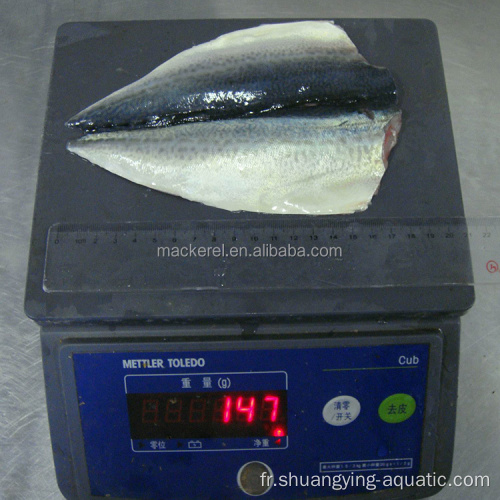 Exporter des poissons surgelés rabats de maquereau congelé le maquereau papillon